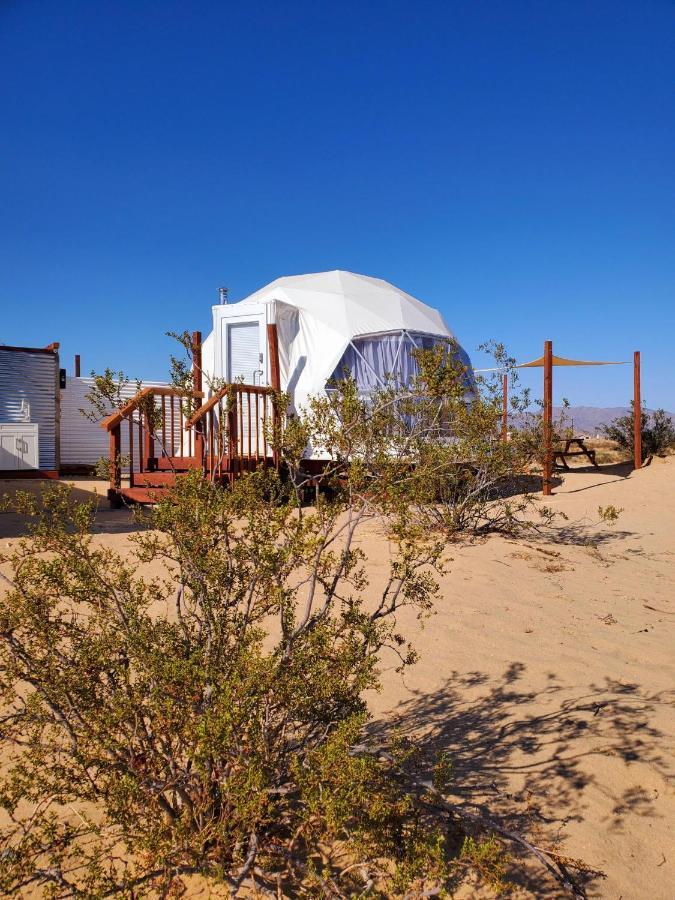 The Kosmic Tortoise Ξενοδοχείο Twentynine Palms Εξωτερικό φωτογραφία