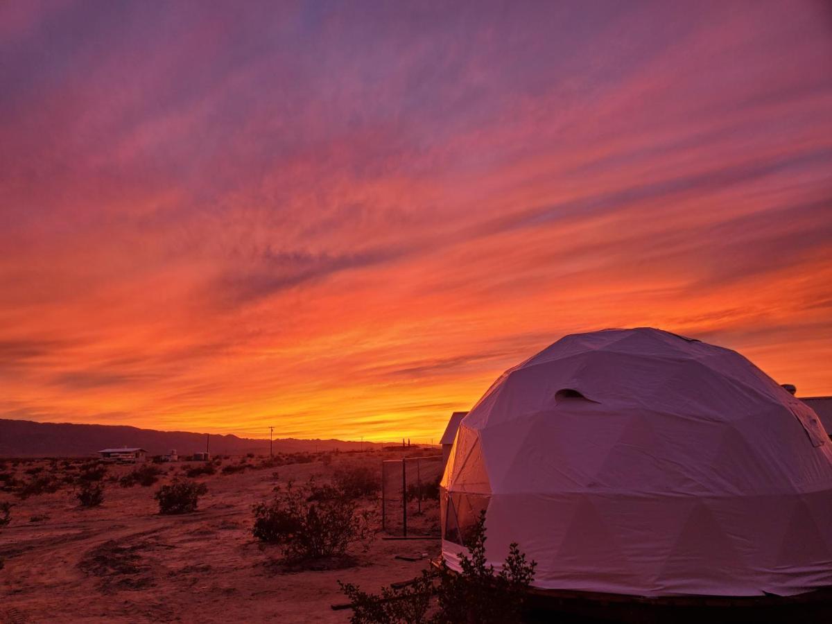 The Kosmic Tortoise Ξενοδοχείο Twentynine Palms Εξωτερικό φωτογραφία